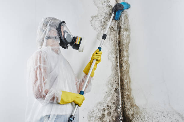 Best Mold Testing  in Washington Park, FL