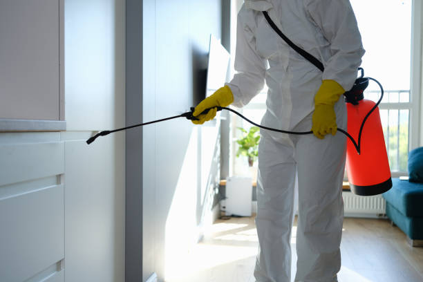 Best Mold Removal Near Me  in Washington Park, FL