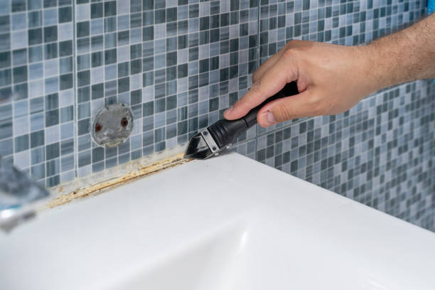Best Office Mold Removal Services  in Washington Park, FL